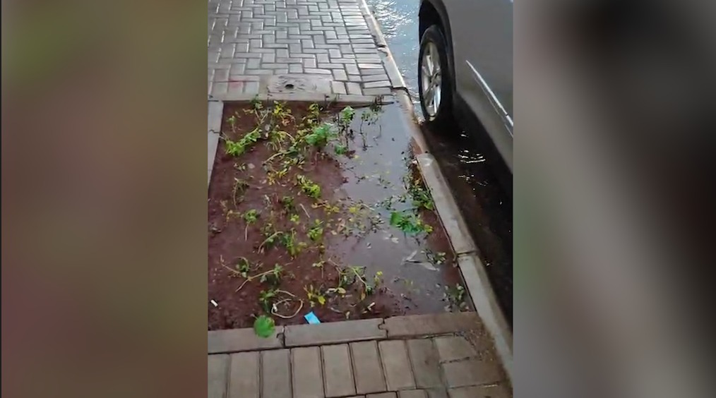 Comerciante reclama de calçada inacessível na Avenida Carlos Gomes