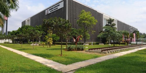 Imagem referente a Ministério Público apura ameaças direcionadas a deputadas de São Paulo