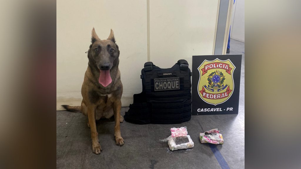 Polícia Federal e Choque apreendem 1kg de haxixe em encomenda nos Correios de Cascavel