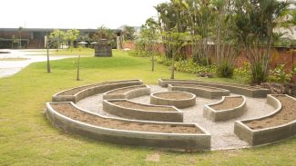 Museu do Pontal lança programação voltada à conscientização ambiental