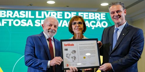 Lula recebe certificado de país livre da febre aftosa Imagem referente a Lula recebe certificado de país livre da febre aftosa