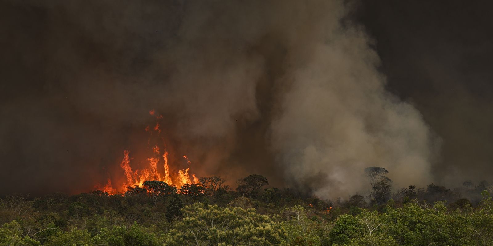 Queimadas fazem desmatamento crescer 92% na Amazônia Queimadas fazem desmatamento crescer 92% na Amazônia