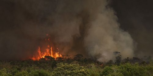 Queimadas fazem desmatamento crescer 92% na Amazônia em maio Imagem referente a Queimadas fazem desmatamento crescer 92% na Amazônia em maio
