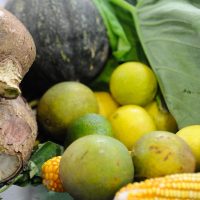 Preço da Cesta Básica cai em 15 de 17 capitais pesquisadas Imagem referente a Preço da Cesta Básica cai em 15 de 17 capitais pesquisadas