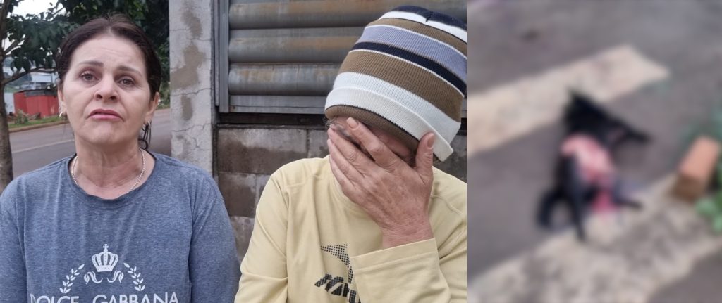 Revolta: Pitbull escapa pela terceira vez e mata cachorro no Riviera em Cascavel