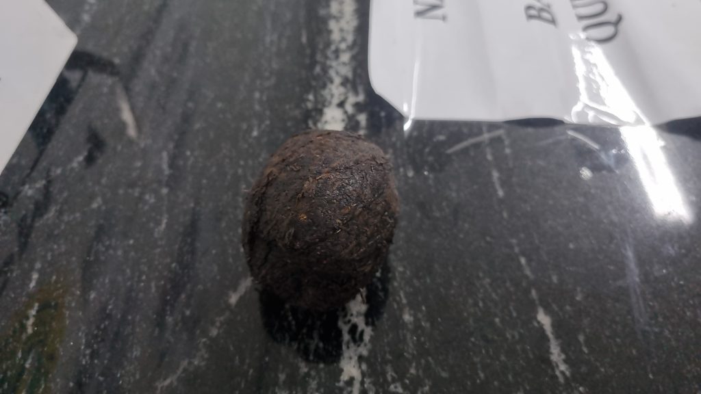 Jovem foge da UPA Brasília após relatar ter sido forçada pelo namorado a introduzir tabaco nas partes íntimas