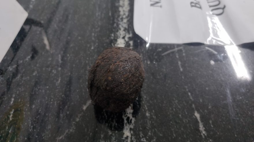Jovem foge da UPA Brasília após relatar ter sido forçada pelo namorado a introduzir tabaco nas partes íntimas
