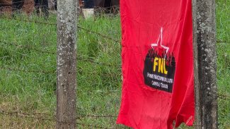 PM confirma que houve uso de violência e arma de fogo contra família durante ocupação de fazenda no interior do Paraná PM confirma que houve uso de violência e arma de fogo contra família durante ocupação de fazenda no interior do Paraná