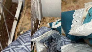 Veja cama de homem que cometeu zoofilia em Cascavel; “Uma galinha foi fazer companhia pra mim esta noite”, teria dito suspeito