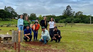 IAT distribui 30,1 mil mudas de espécies nativas durante a Semana do Meio Ambiente
