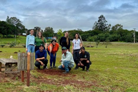IAT distribui 30,1 mil mudas de espécies nativas durante a Semana do Meio Ambiente Imagem referente a IAT distribui 30,1 mil mudas de espécies nativas durante a Semana do Meio Ambiente