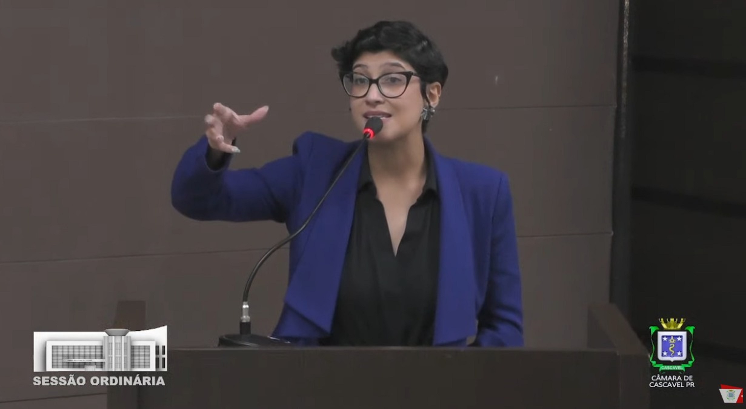 Vereadora denuncia perseguição política após adiamento de projeto por "13" sessões