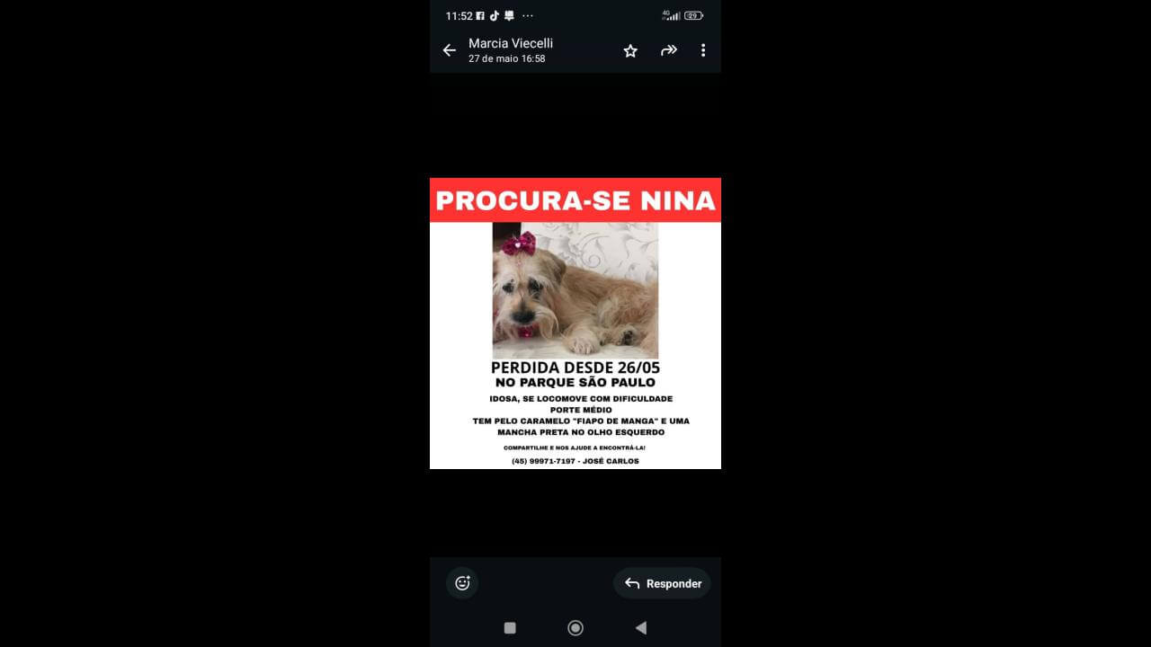 Cachorra Nina desapareceu no bairro Parque São Paulo