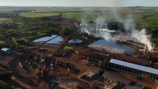 Produção de álcool e açúcar: TV Paraná Turismo mostra como funciona a Usina Bandeirantes Produção de álcool e açúcar: TV Paraná Turismo mostra como funciona a Usina Bandeirantes