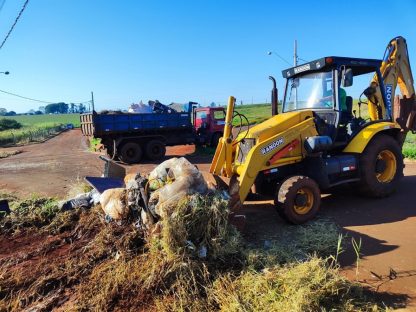Exemplo! Prefeitura de Campo Mourão notifica mais 59 proprietários de terrenos por falta de limpeza Exemplo! Prefeitura de Campo Mourão notifica mais 59 proprietários de terrenos por falta de limpeza