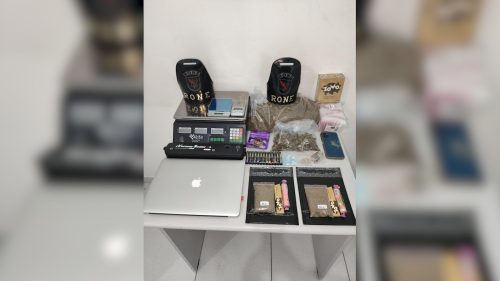Fuga às pressas: RONE descobre estufa de drogas e busca por foragido