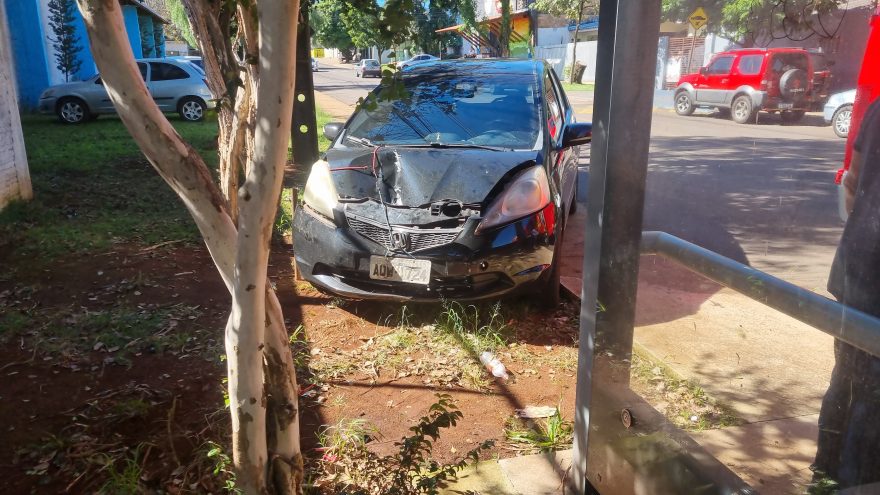 Mulher fica ferida após bater carro contra árvore na Rua General Osório