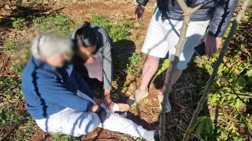 Idosa cai de pé de manga, fica ferida e Corpo de Bombeiros é acionado