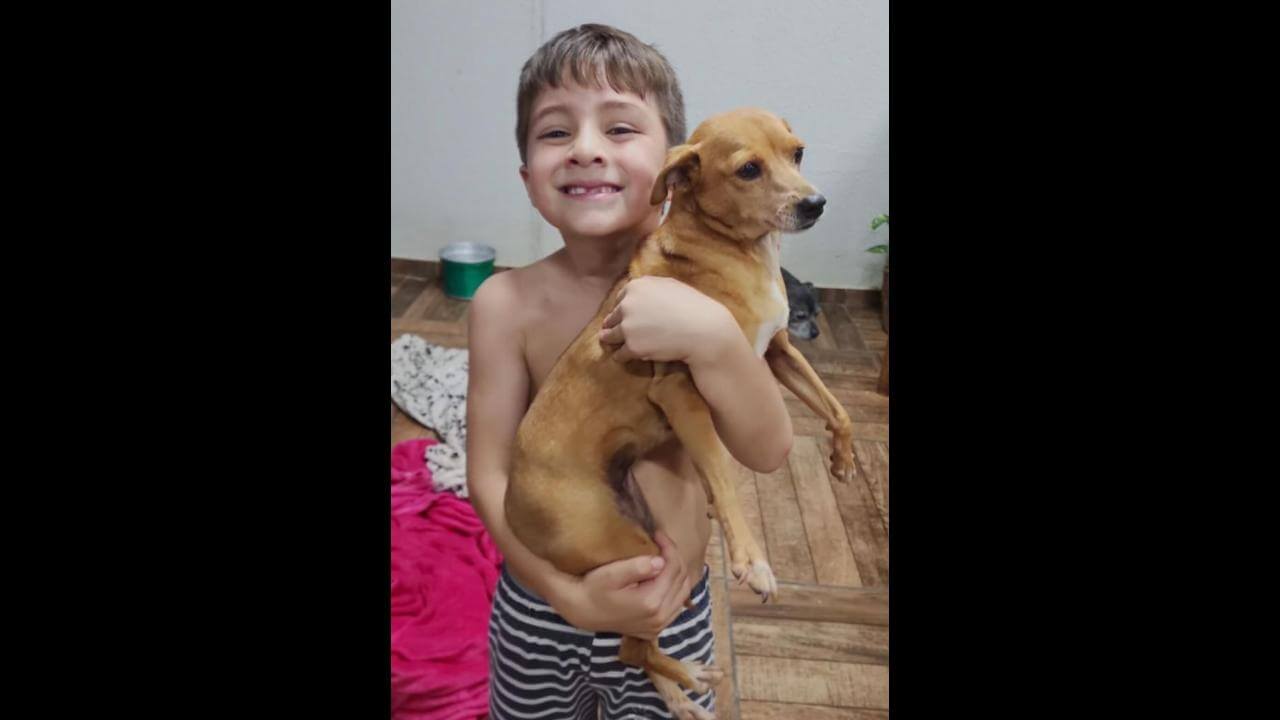 Cachorra Manu desapareceu no bairro Cancelli