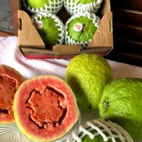 Imagem referente a Carlópolis, que produz 37,7 mil toneladas de frutas, sediará o VI Simpósio da Fruticultura