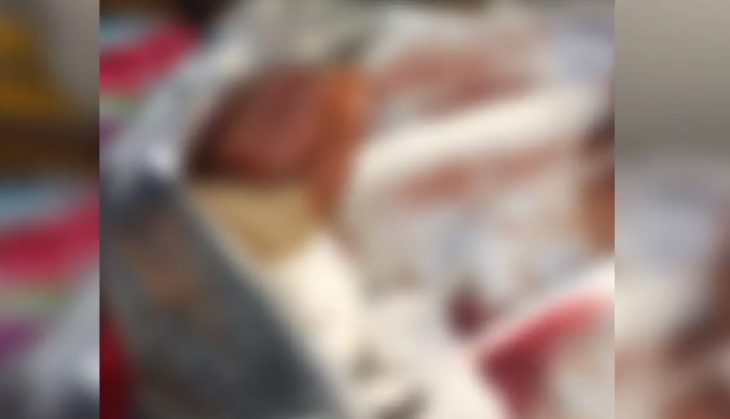 Idosa é socorrida em estado grave após ataque de pitbull 