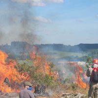 Imagem referente a Estado reforça orientações para evitar incêndios florestais no período mais seco do ano