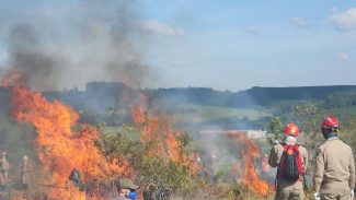 Estado reforça orientações para evitar incêndios florestais no período mais seco do ano