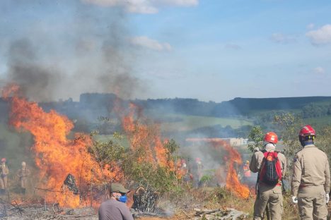 Imagem referente a Estado reforça orientações para evitar incêndios florestais no período mais seco do ano