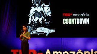 Preservar a Amazônia é questão de segurança nacional, diz especialista