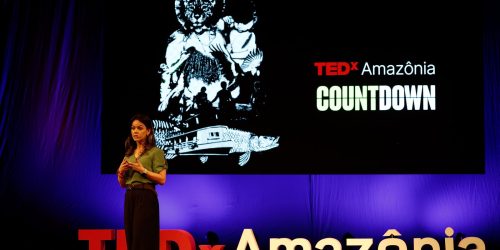 Preservar a Amazônia é questão de segurança nacional, diz especialista Imagem referente a Preservar a Amazônia é questão de segurança nacional, diz especialista