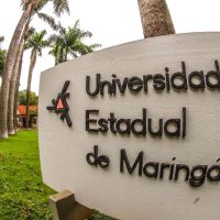 Imagem referente a Unidade de Psicologia Aplicada da UEM atende 2,6 mil pessoas por ano