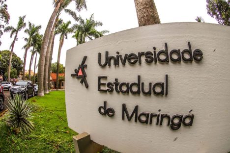 Unidade de Psicologia Aplicada da UEM atende 2,6 mil pessoas por ano Imagem referente a Unidade de Psicologia Aplicada da UEM atende 2,6 mil pessoas por ano