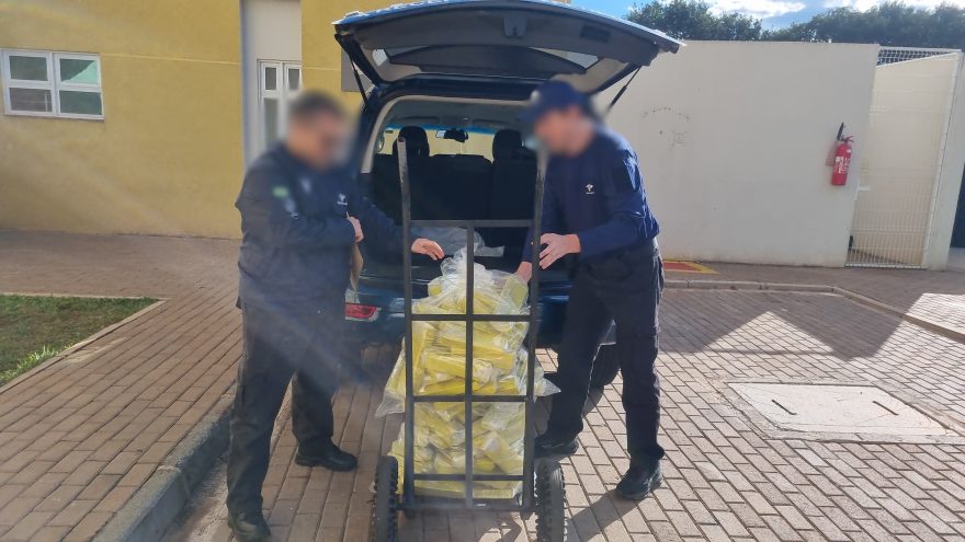 Receita Federal encontra grande quantidade de maconha em meio a falsa carga de baterias na BR-277