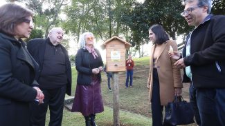 Sede do Ministério Público estadual ganha jardins de mel do Poliniza Paraná