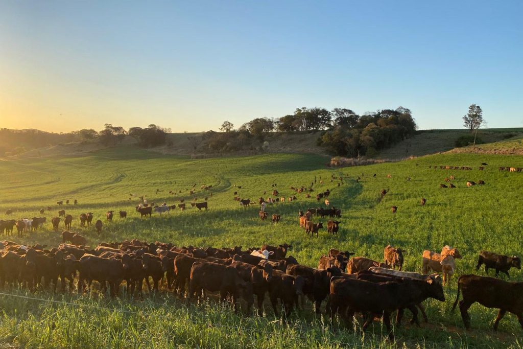 Adapar recebe comitiva do Japão para auditorias sanitárias de carne bovina e suína