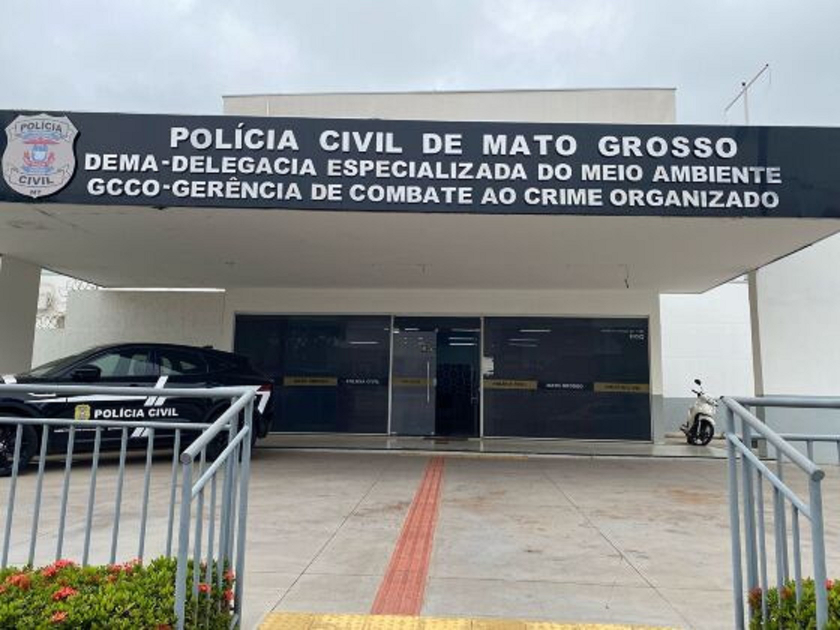 Mulher Trans é suspeita de adotar gatos e cães para matar