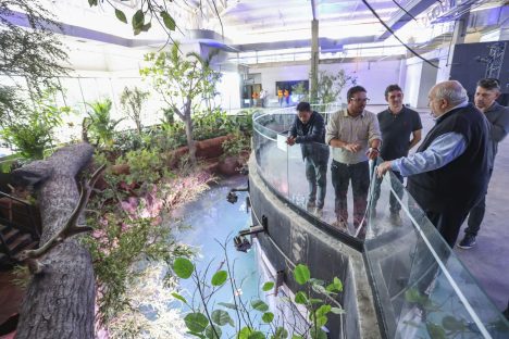 IAT emite licença ambiental que permite funcionamento do aquário de Foz do Iguaçu Imagem referente a IAT emite licença ambiental que permite funcionamento do aquário de Foz do Iguaçu