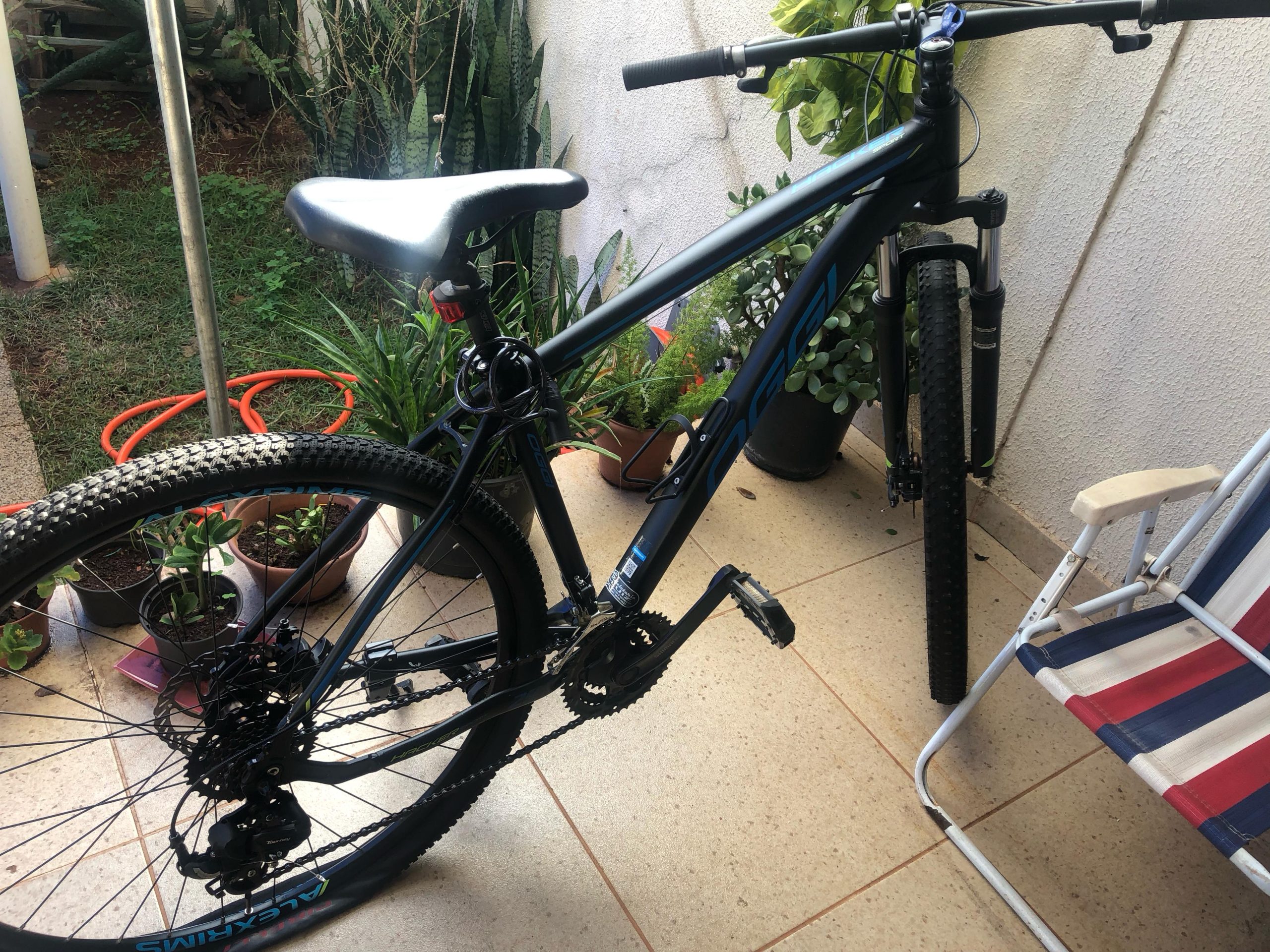 Ladrão escala muro, derruba floreiras e furta bicicleta na Rua Jacarezinho