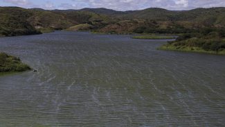 Rio São Francisco terá nova hidrovia para transporte de cargas ao NE