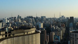 Prédios com vidraças nas cidades ameaçam aves, aponta pesquisa
