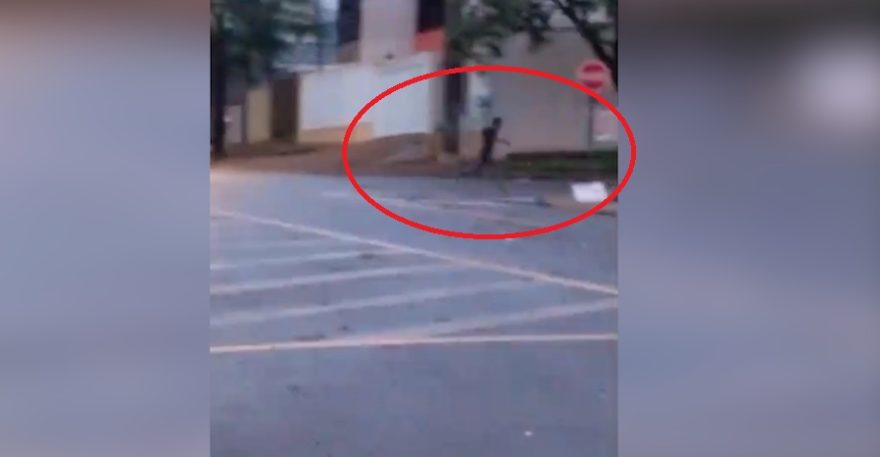 Pegos no flagra! Dono chega em barracão e coloca suspeitos para correr em Cascavel