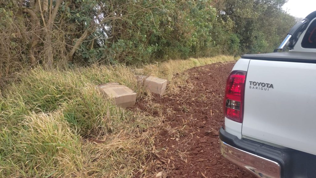 PRF apreende grande quantidade de anabolizantes e medicamentos em Ponta GrossaPonta