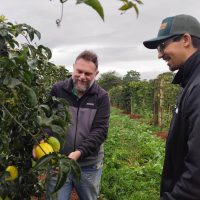 Imagem referente a IDR e UFPR testam alternativa para cultivo do maracujazeiro em busca de produtividade