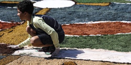 Corpus Christi: data católica não é feriado em todo o Brasil; entenda Imagem referente a Corpus Christi: data católica não é feriado em todo o Brasil; entenda