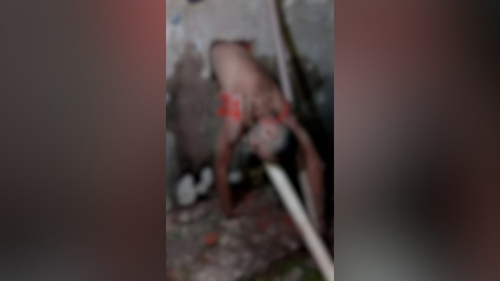 Detento tenta fugir por buraco na parede e fica entalado no presídio