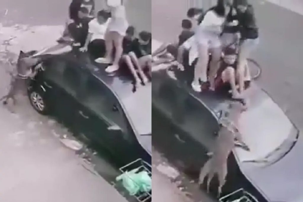 Crianças e adolescentes sobem em carro para fugir de ataque de cão; vídeo