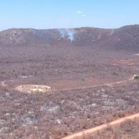 Imagem referente a Nove estados registraram mais de 41 mil crimes ambientais em dois anos