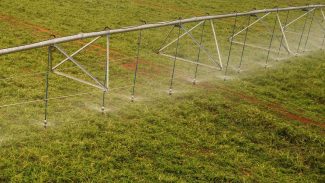 No Dia Mundial de Combate à Seca, Paraná reforça ações para garantir oferta de água