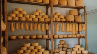 Queijo colonial do Sudoeste é a 19ª Indicação Geográfica do Paraná