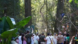 Feriado de Corpus Christi promete grande circulação nos atrativos turísticos paranaenses